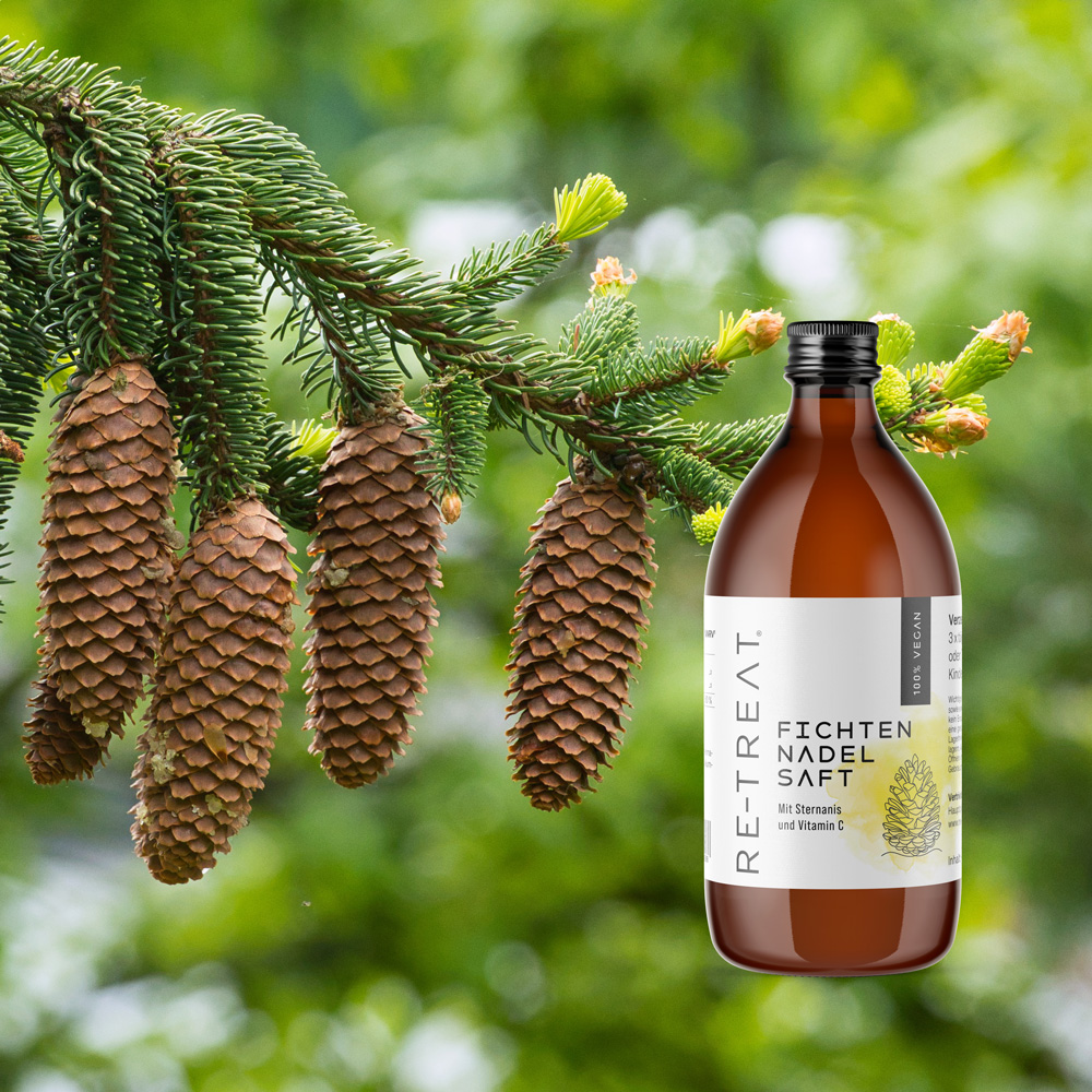 Fichtenbaum mit Fichtennadelsaft Packshot im Vordergrund
