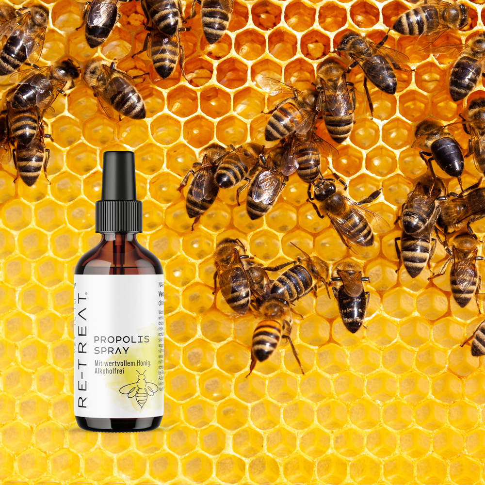 Bienenwaben im Hintergrund im Vordergrund Propolis Spray Packshot